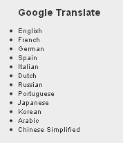 widget google translate